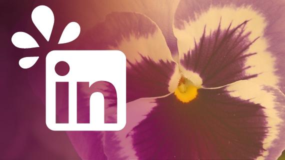 linkedin expert centre