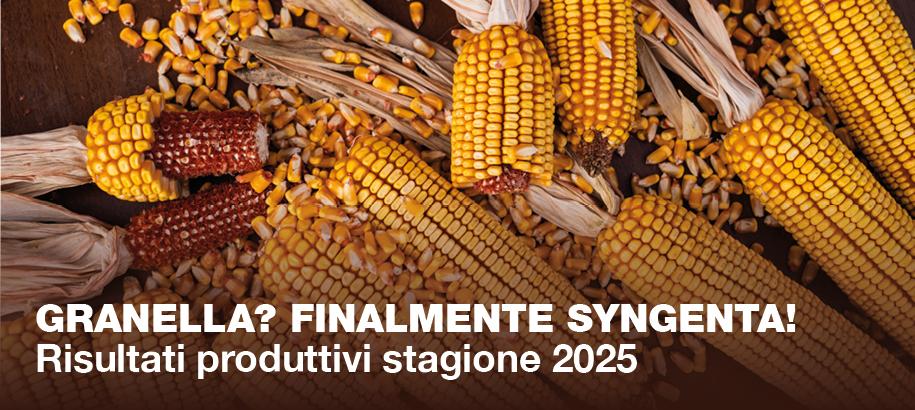 RIsultati produttivi prodotti da granella syngenta