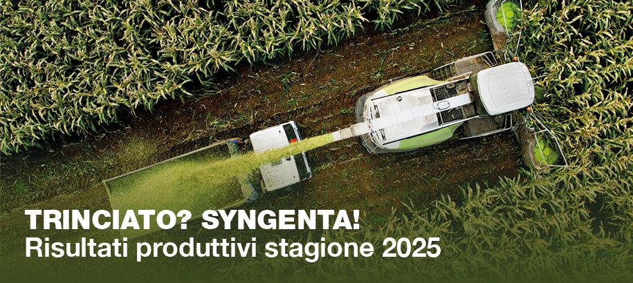 RIsultati produttivi prodotti da trinciato syngenta