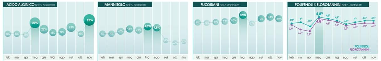 Momenti della raccolta