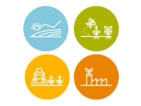 sustainability_priorities.jpg