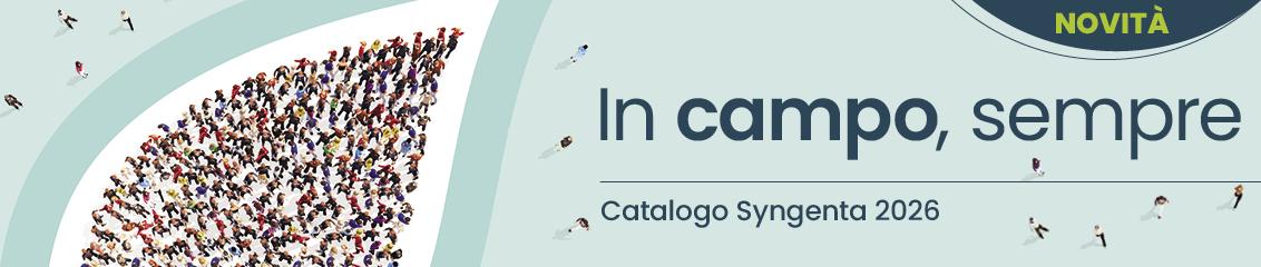 catalogo_2026
