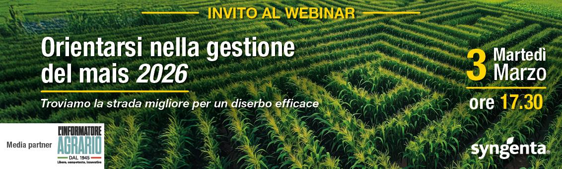 webinar_mais_2026