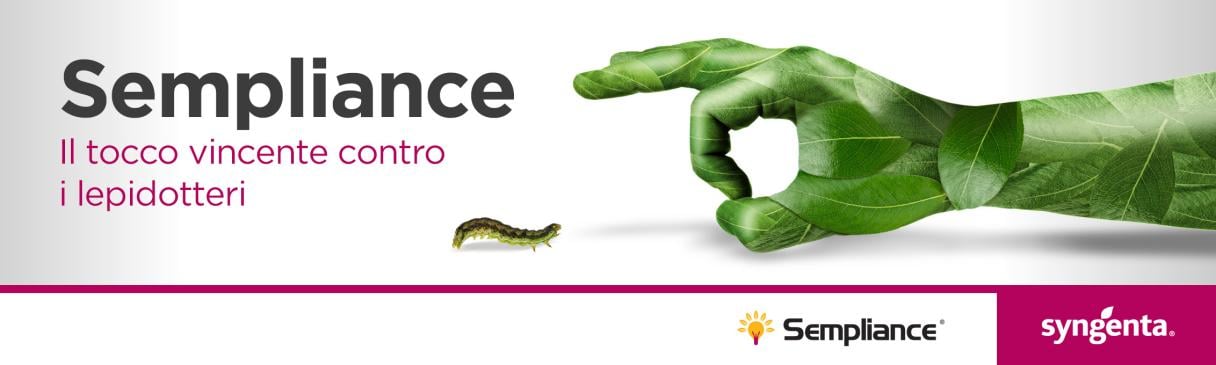 banner sempliance