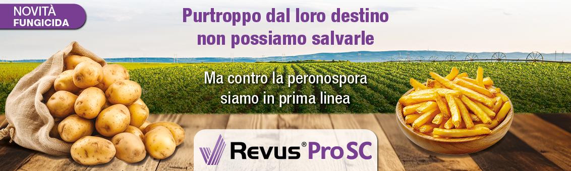 REVUS_PRO_SC