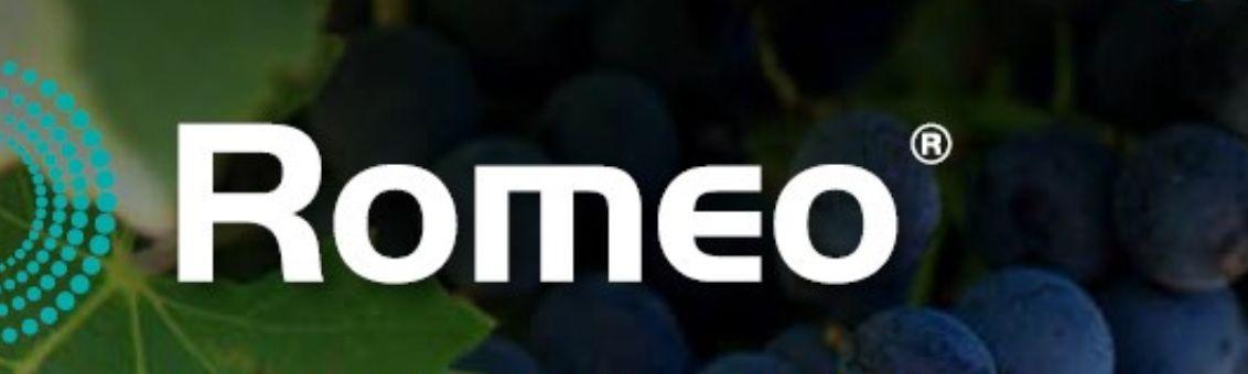 Brochure Logo Romeo