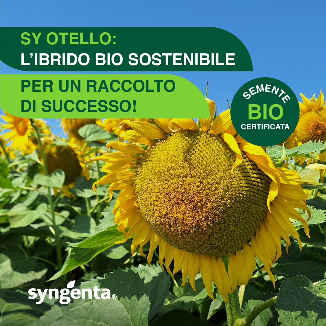 otello girasole bio