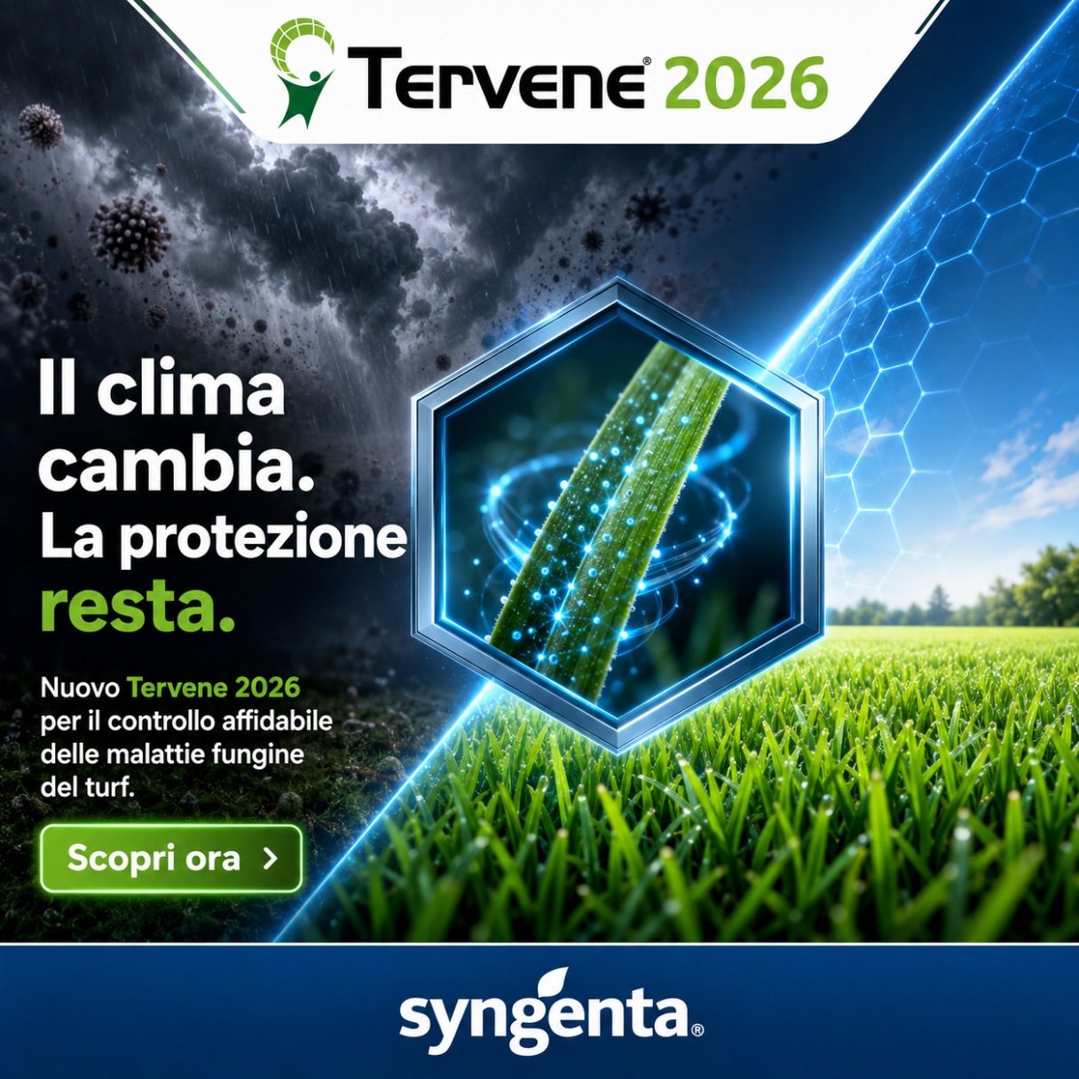 tervene nuovo visual