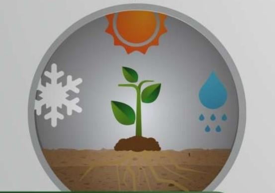 Grafica con piantina nel suolo e icone di sole, neve e pioggia sullo sfondo