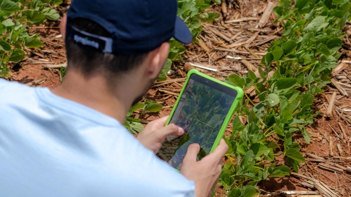 Uomo con cappellino usa uno smartphone tra piante e pacciamatura in giardino