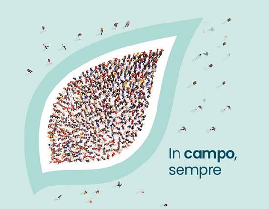 Catalogo 2026