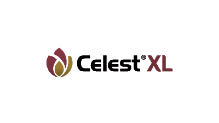 400x135 celest xl logo