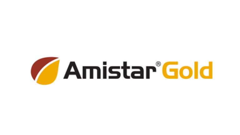 amistar gold logo 400x135