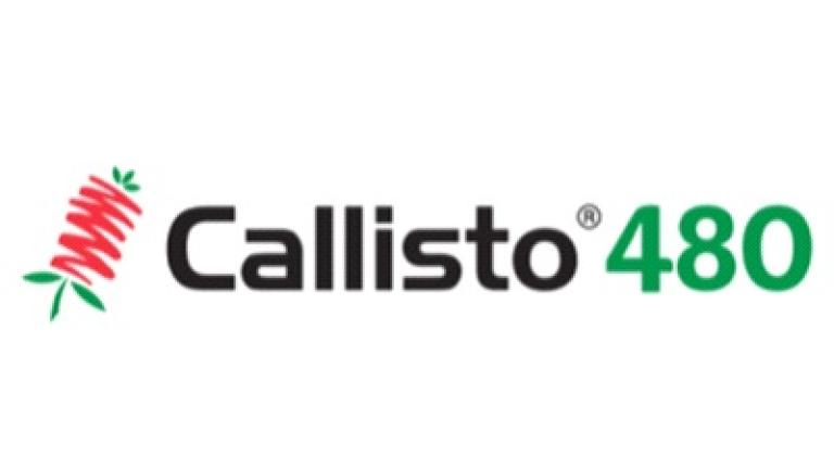 callisto 480 400x135