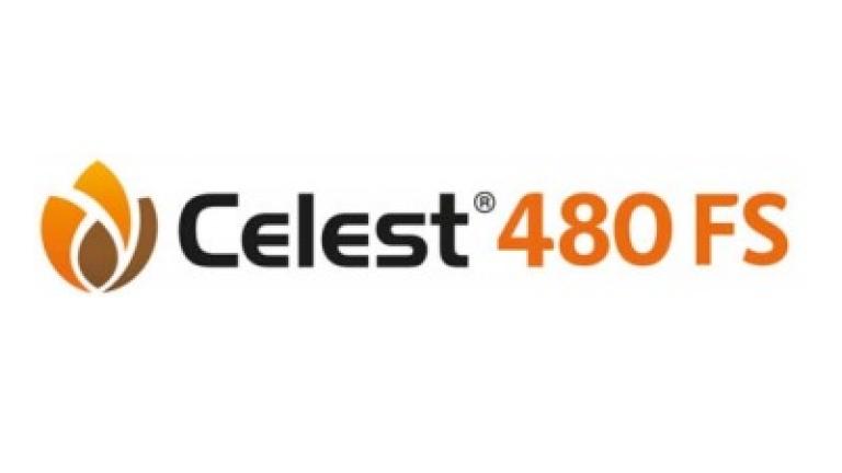 celest 480 fs 400x135