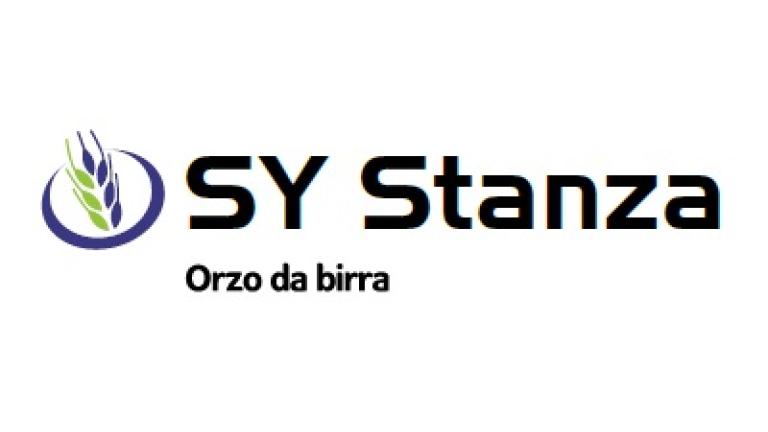 stanza_400_135