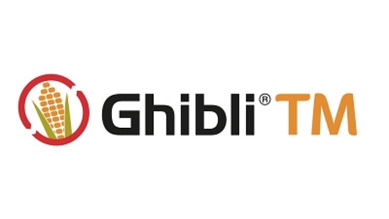 ghibli tm 400x135