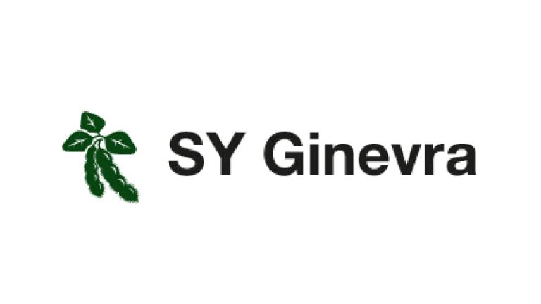 Sy Ginevra: Precoce e produttiva