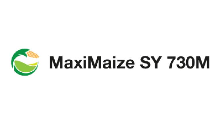 Maximaize SY 730M: Un muro verde di massa ed energia per gli ambienti ad alta fertilità