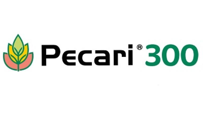 pecari 300 400x135