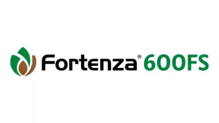 FORTENZA 600 FS